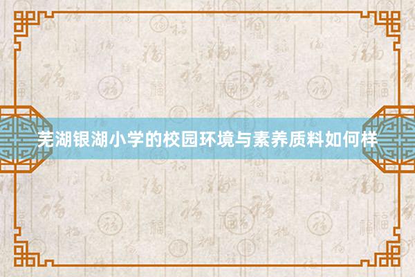 芜湖银湖小学的校园环境与素养质料如何样